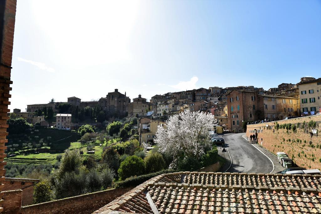 Casa In Contrada Διαμέρισμα Σιένα Εξωτερικό φωτογραφία